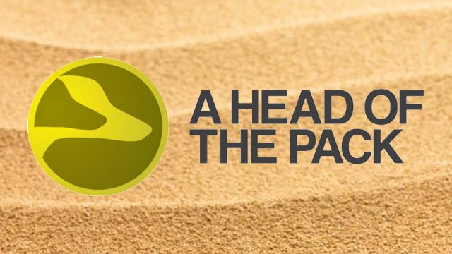 A Head of the Pack Dog Sitter Service Newquay Cornwall